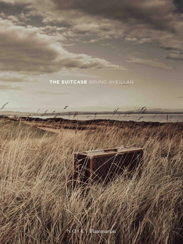 The Suitcase book cover by Bruno Aveillan