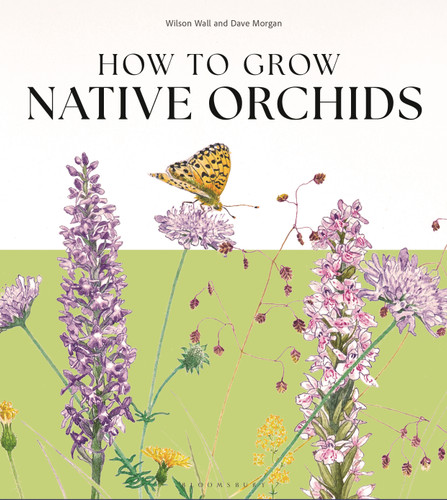 How to Grow Native Orchids book cover by Wilson Wall, Dave Morgan