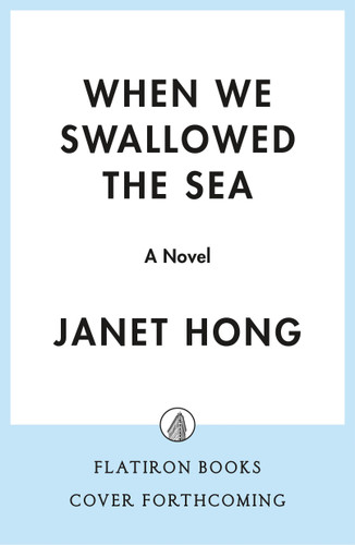 When We Swallowed the Sea: A Novel book cover by Janet Hong