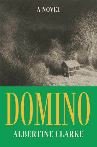Domino: A Novel book cover by Albertine Clarke