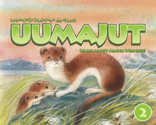 Uumajut, Volume 2: Learn About Arctic Wildlife! book cover by Simon Awa, Anna Ziegler, Stephanie McDonald, Seeglook Akeeagok