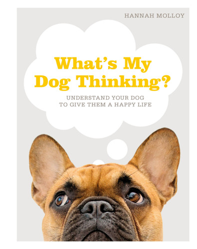 What's My Dog Thinking?: Understand Your Dog to Give Them a Happy Life book cover by Hannah Molloy