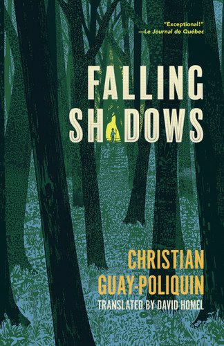 Falling Shadows book cover by Christian Guay-Poliquin