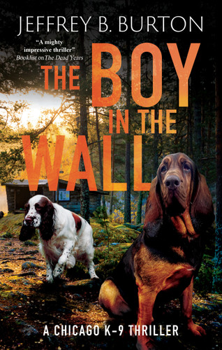 The Boy in the Wall book cover by Jeffrey B. Burton