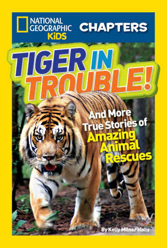National Geographic Kids Chapters: Tiger in Trouble!: And More True Stories of Amazing Animal Rescues (NGK Chapters) book cover by Kelly Milner Halls