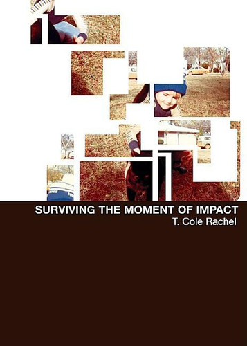 Surviving the Moment of Impact book cover by T. Cole Rachel