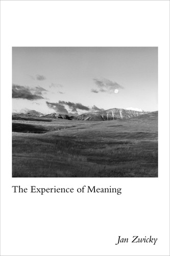 The Experience of Meaning book cover by Jan Zwicky