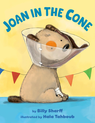 Joan in the Cone book cover by Billy Sharff
