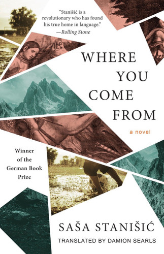 Where You Come From book cover by Sasa Stanisic