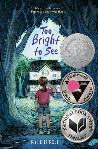 Too Bright to See: (Newbery Honor Award Winner) book cover by Kyle Lukoff