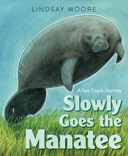 Slowly Goes the Manatee: A Sea Cow’s Journey book cover by Lindsay Moore