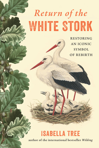 Return of the White Stork: Restoring an Iconic Symbol of Rebirth book cover by Isabella Tree