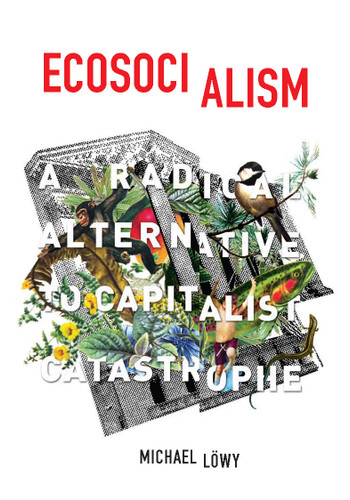 Ecosocialism: A Radical Alternative to Capitalist Catastrophe book cover by Michael Löwy