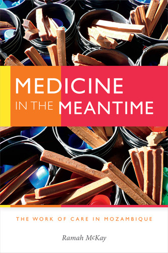 Medicine in the Meantime: The Work of Care in Mozambique (Critical Global Health: Evidence, Efficacy, Ethnography) book cover by Ramah McKay