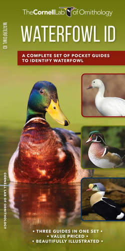Waterfowl ID Set: A Complete Supplement to Identify Waterfowl Based on "Where's the white?" (Nature Observation North America) book cover by Kevin J. McGowan, The  Cornell Lab of Ornithology