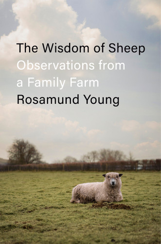 The Wisdom of Sheep: Observations from a Family Farm book cover by Rosamund Young