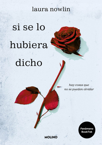 Si se lo hubiera dicho / If Only I Had Told Her book cover by Laura Nowlin