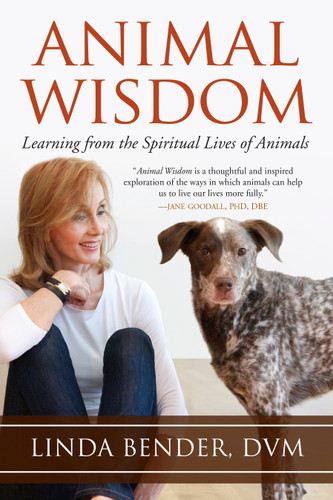 Animal Wisdom: Learning from the Spiritual Lives of Animals (Sacred Activism) book cover by Linda Bender