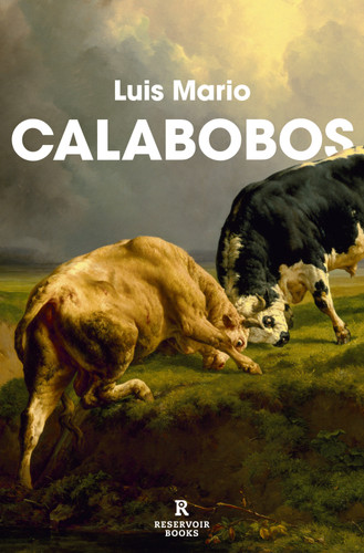 Calabobos / Drizzle book cover by Luis Mario