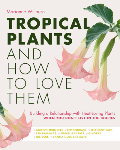 Tropical Plants and How to Love Them book cover by Marianne Willburn