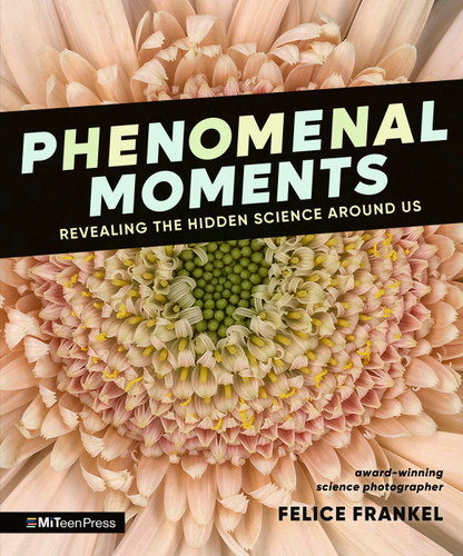 Phenomenal Moments: Revealing the Hidden Science Around Us book cover by Felice Frankel