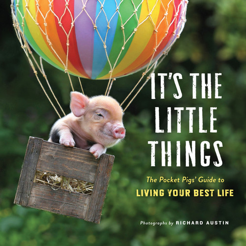 It's the Little Things: The Pocket Pigs' Guide to Living Your Best Life (Inspiration Book, Gift Book, Life Lessons, Mini Pigs) book cover by 