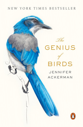 The Genius of Birds book cover by Jennifer Ackerman