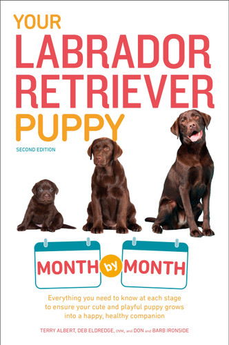 Your Labrador Retriever Puppy Month by Month, 2nd Edition: Everything You Need to Know at Each Stage of Development (Your Puppy Month by Month) book cover by Terry Albert, Debra Eldredge DVM, Don Ironside, Barb Ironside