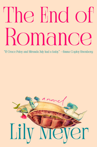 The End of Romance: A Novel book cover by Lily Meyer