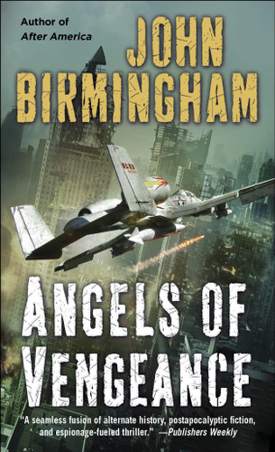 Angels of Vengeance (The Disappearance) book cover by John Birmingham