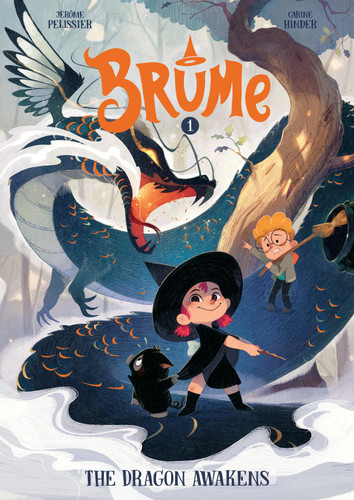 Brume, Volume 1: The Dragon Awakens (Brume) book cover by Jérôme Pélissier