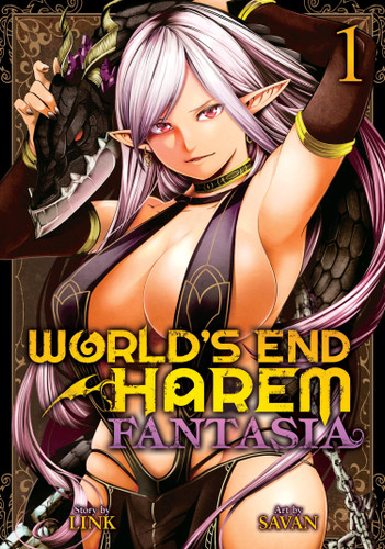 World's End Harem: Fantasia Vol. 1 (World's End Harem: Fantasia) book cover by Link