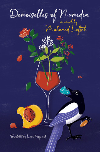 Demoiselles of Numidia: A Novel book cover by Mohamed Leftah