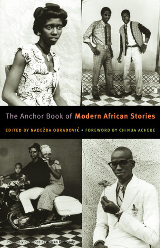 The Anchor Book of Modern African Stories book cover by 