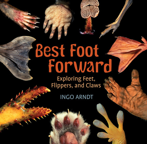 Best Foot Forward: Exploring Feet, Flippers, and Claws book cover by Ingo Arndt