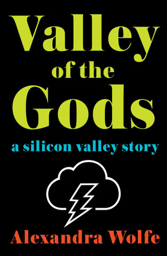 Valley of the Gods: A Silicon Valley Story Cover