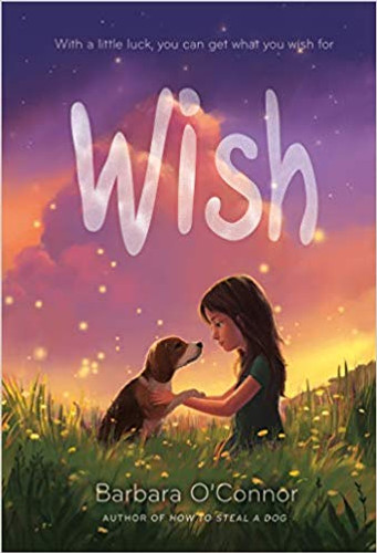 Wish Cover