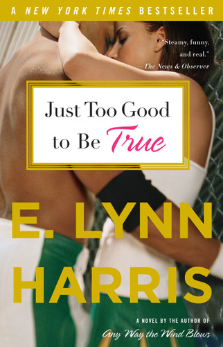 Just Too Good to Be True: A Novel book cover by E. Lynn Harris