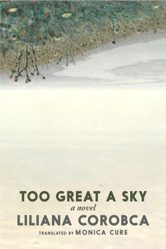 Too Great a Sky: A Novel book cover by Liliana  Corobca