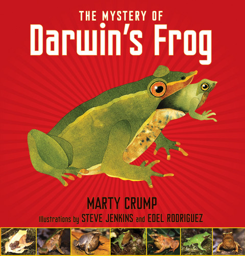 The Mystery of Darwin's Frog book cover by Marty Crump