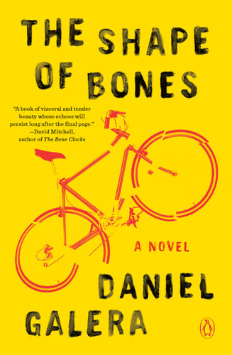 The Shape of Bones: A Novel book cover by Daniel Galera