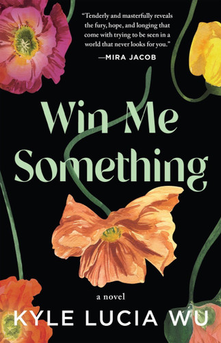 Win Me Something book cover by Kyle Lucia Wu