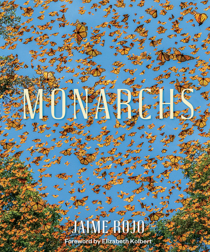 Monarchs book cover by Jaime Rojo