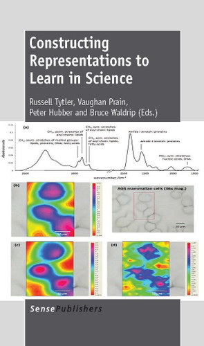 Constructing Representations to Learn in Science [9789462092013]