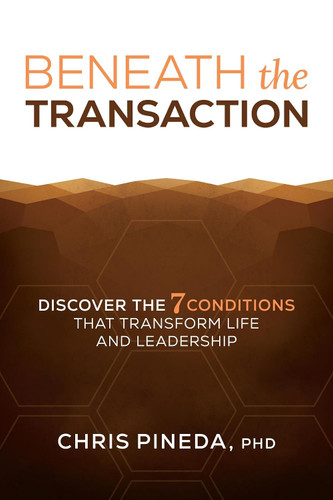 Beneath the Transaction book cover by Chris Pineda