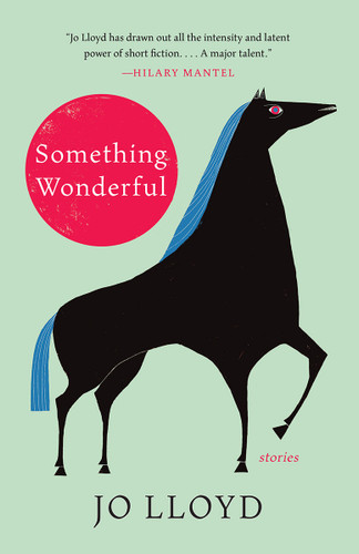 Something Wonderful: Stories book cover by Jo Lloyd
