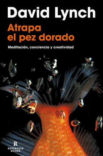 Atrapa el pez dorado / Catching The Big Fish book cover by David Lynch