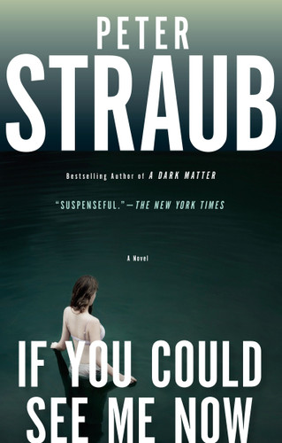 If You Could See Me Now book cover by Peter Straub