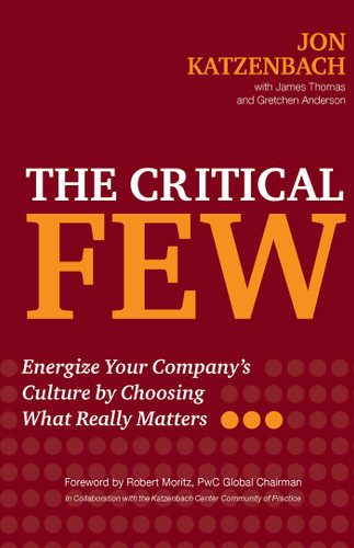 The Critical Few: Energize Your Company's Culture by Choosing What Really Matters book cover by Jon R. Katzenbach, James Thomas, Gretchen Anderson