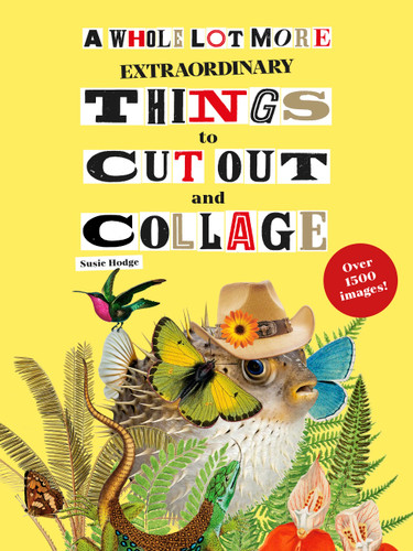 A Whole Lot More Extraordinary Things to Cut Out and Collage book cover by Susie Hodge